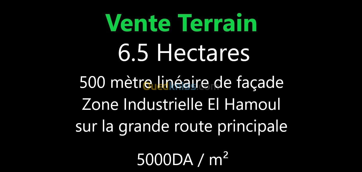 Vente Terrain Oran El Kerma