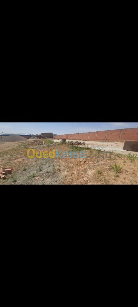 Location Terrain Tiaret Tiaret