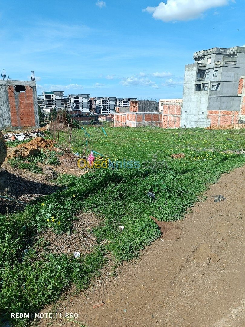 Vente Terrain Boumerdès Ouled moussa