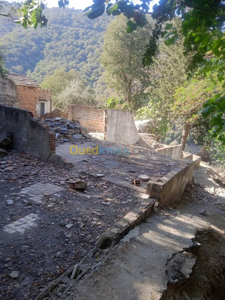 Vente Terrain Blida Blida