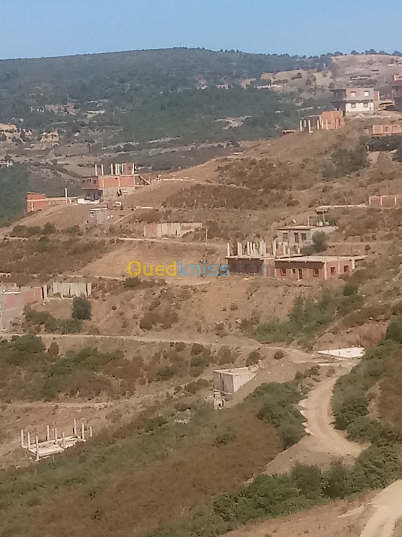 Vente Terrain Blida Djebara