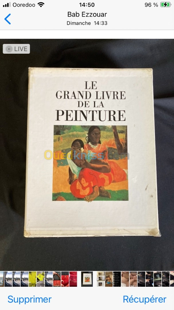 2 grands livres de peintures