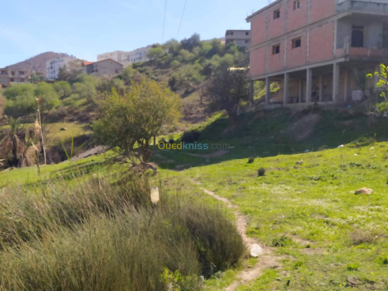 Vente Terrain Tipaza Gouraya