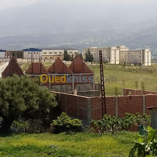 Vente Terrain Blida El affroun