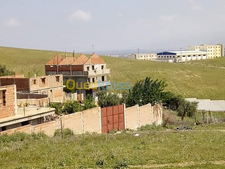 Vente Terrain Blida El affroun