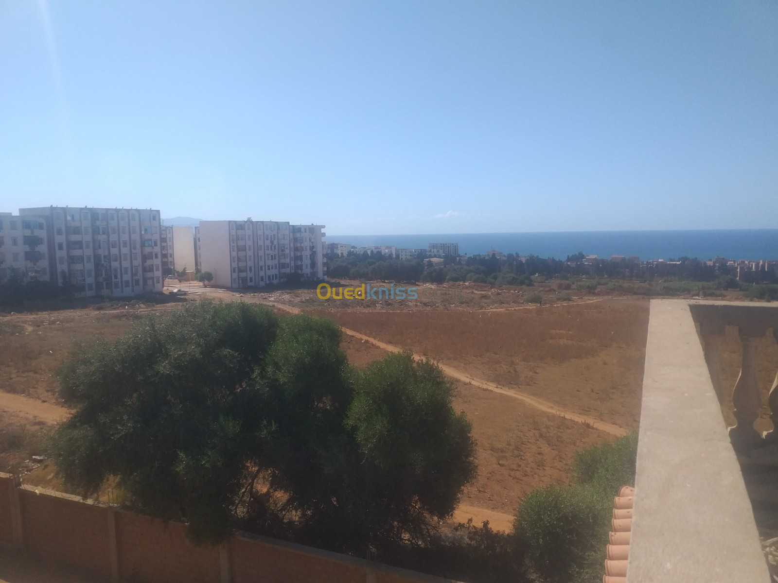 Vente Terrain Tipaza Bou ismail