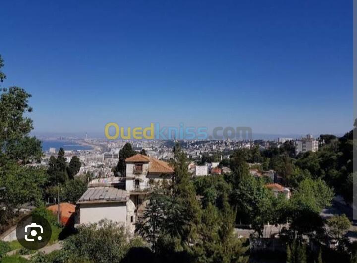 Location Niveau De Villa F5 Alger El biar