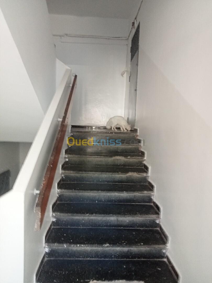 Vente Appartement F3 Alger El biar