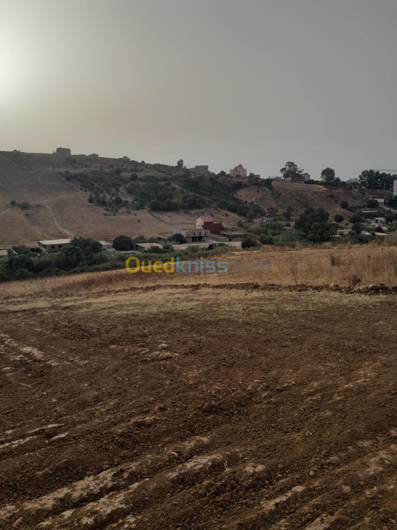 Vente Terrain Boumerdès Zemmouri