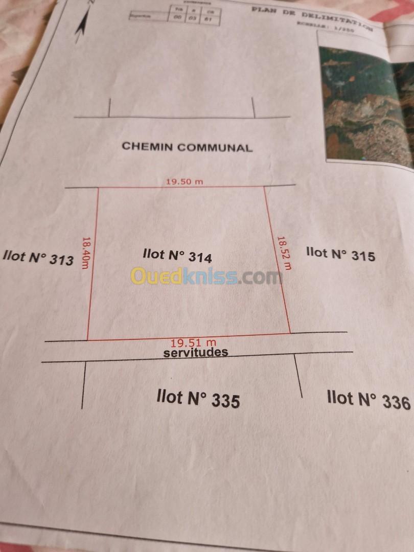 Vente Terrain Alger Beni messous