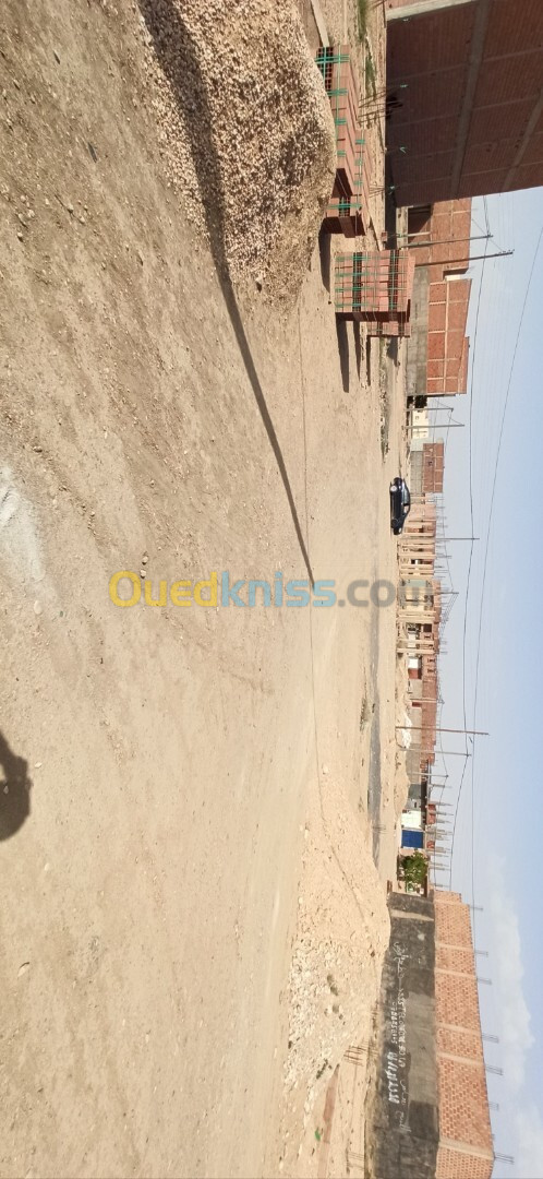 Vente Terrain Biskra El outaya