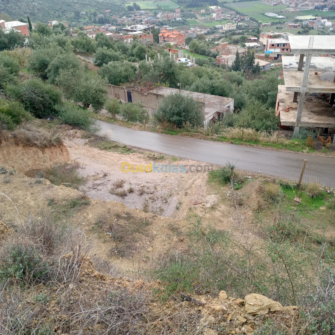 Vente Terrain Bouira Lakhdaria