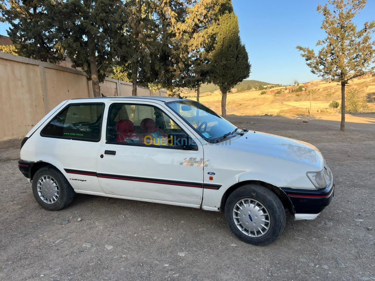 Ford Fiesta 1989 Fiesta