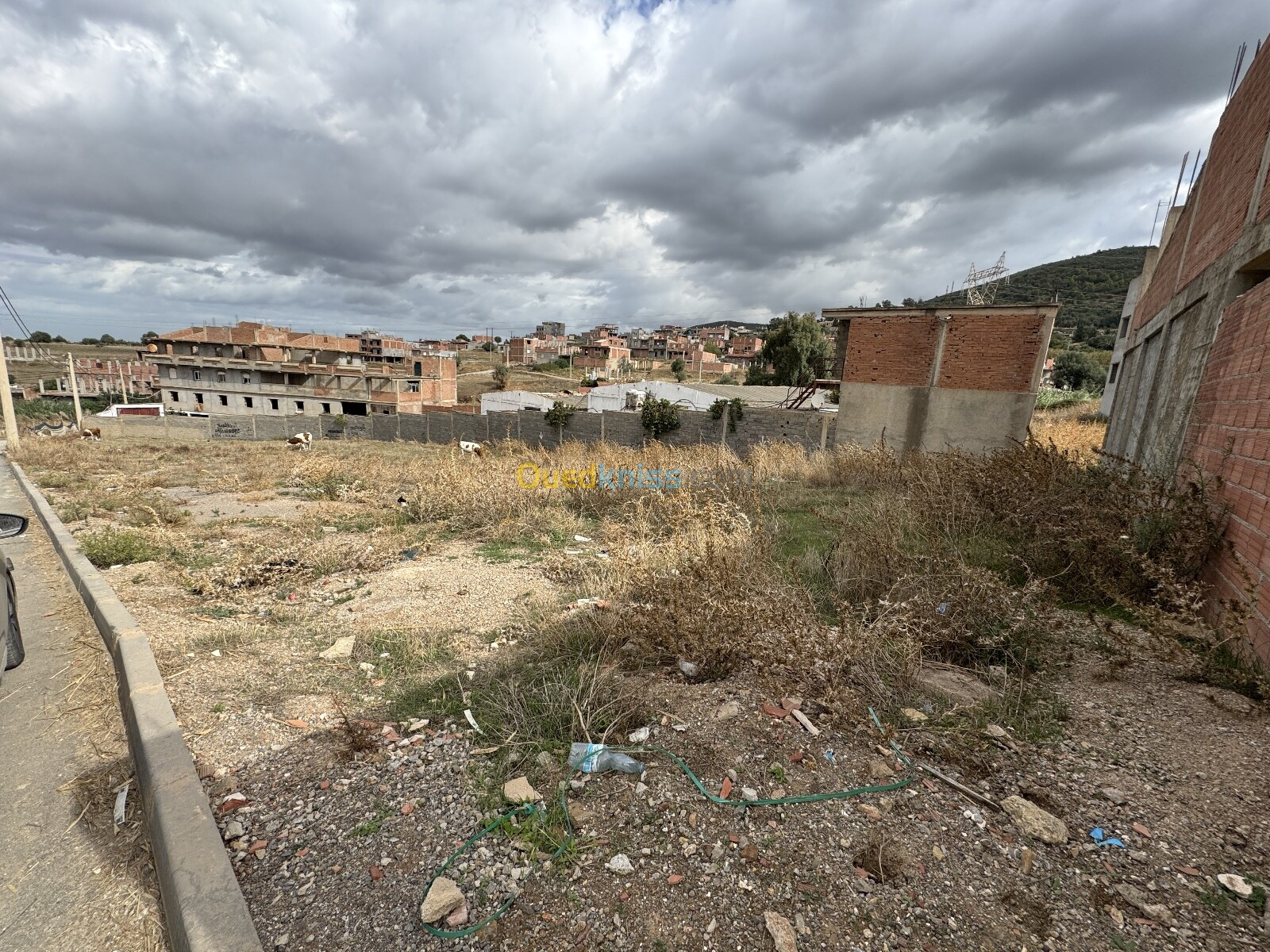 Vente Terrain Boumerdès El kharrouba