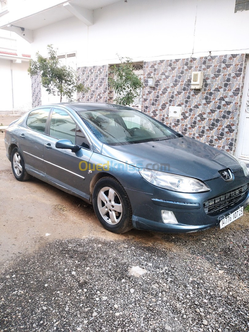 Peugeot 407 2007 407