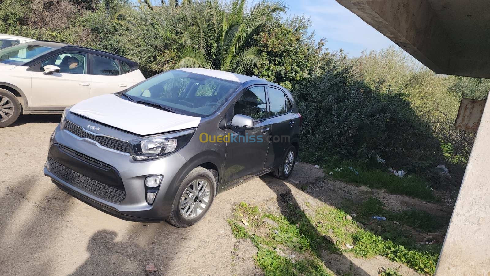 Kia Picanto 2023 LX