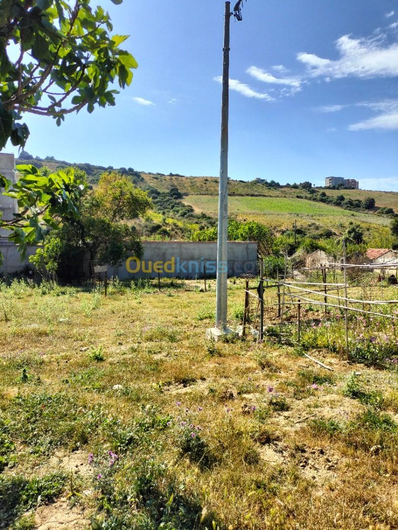 Vente Terrain Boumerdès Zemmouri