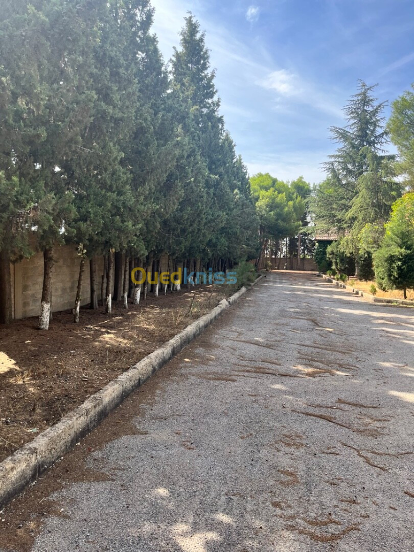 Vente Villa Sétif Mezloug