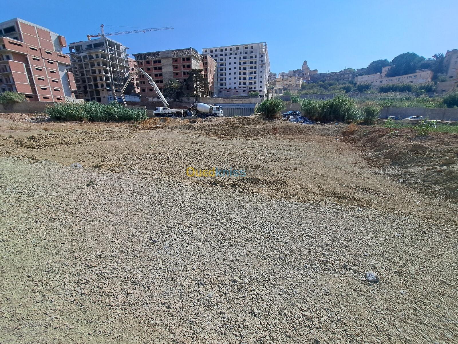 Vente Terrain Alger Cheraga