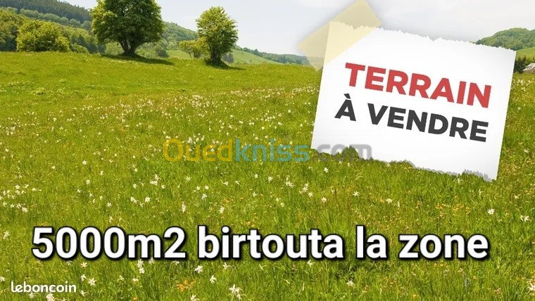 Vente Terrain Alger Birtouta