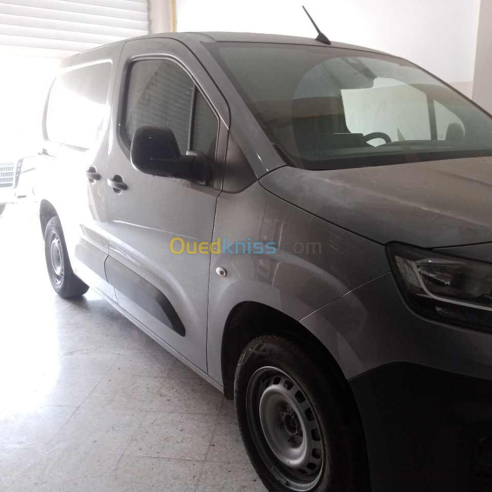 Fiat Doblo 2023 Doblo