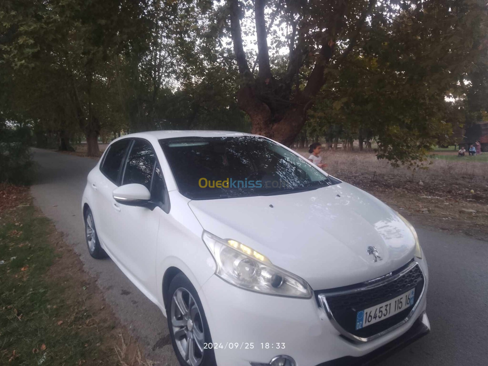 Peugeot 208 2015 Active