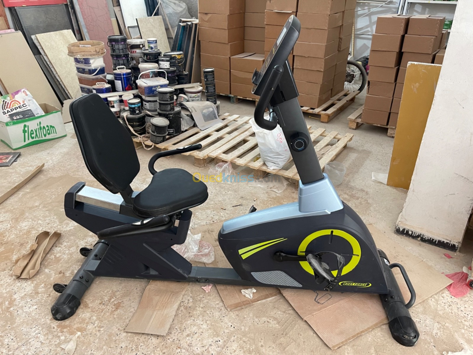 Bodyforce recumbent bike