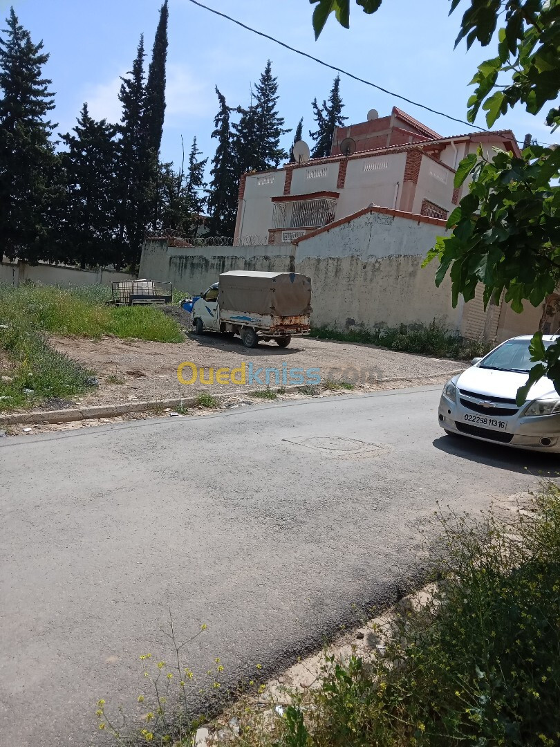 Vente Terrain Blida Bouinan