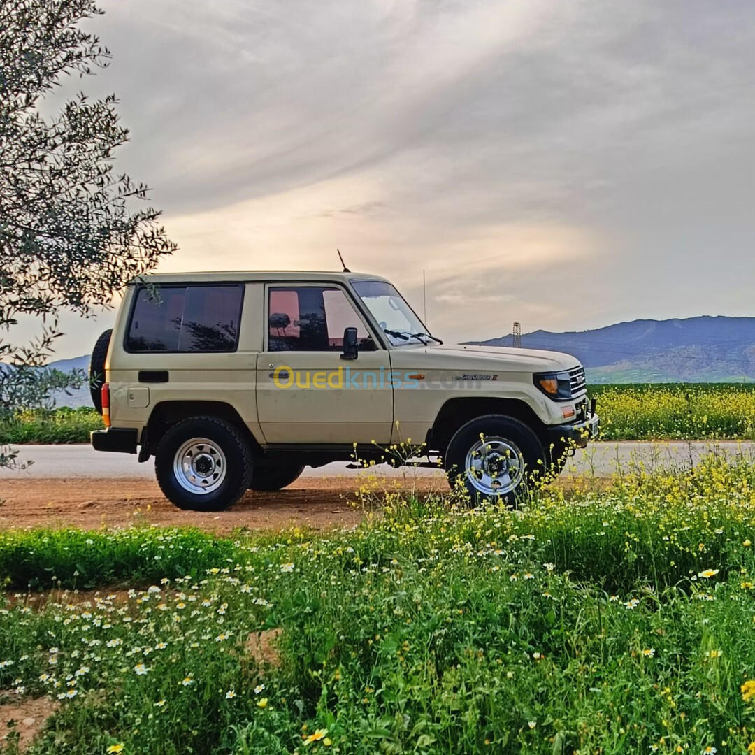 Toyota Land Cruiser 1993 Court