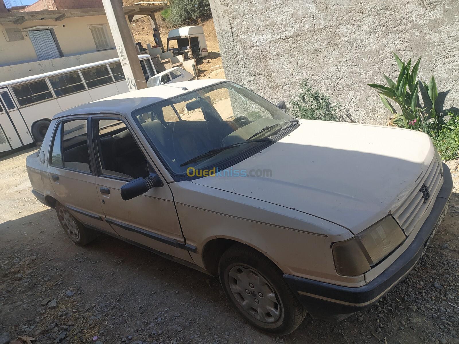 Peugeot 309 1989 309