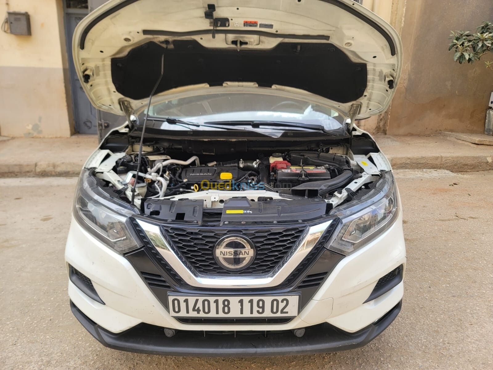 Nissan Qashqai 2019 Qashqai