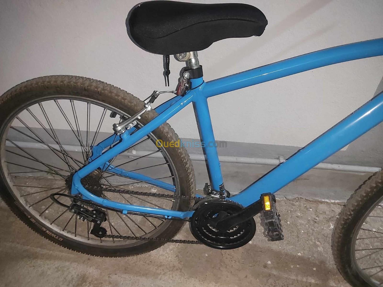 Vente vélo vtt