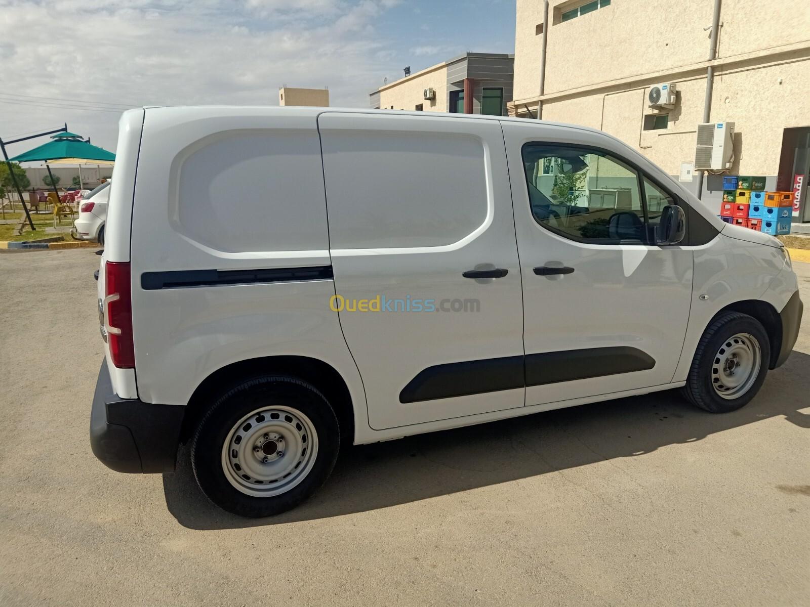 Fiat Doblo 2023 Professional