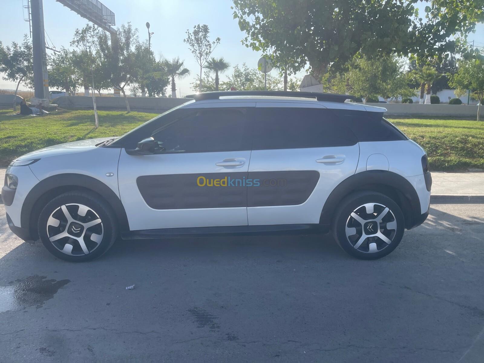 Citroen C4 Cactus 2015 C4 Cactus