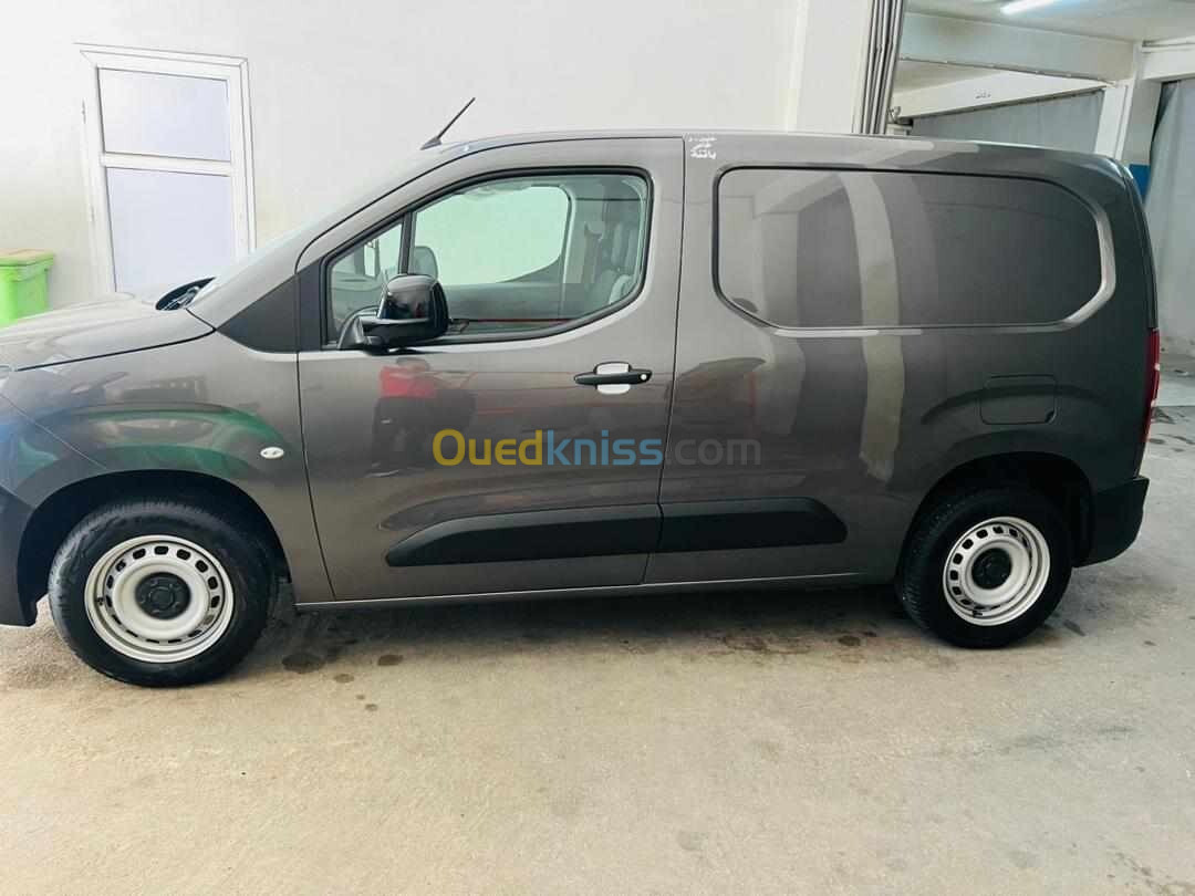 Fiat Doblo 2024 Professionnel