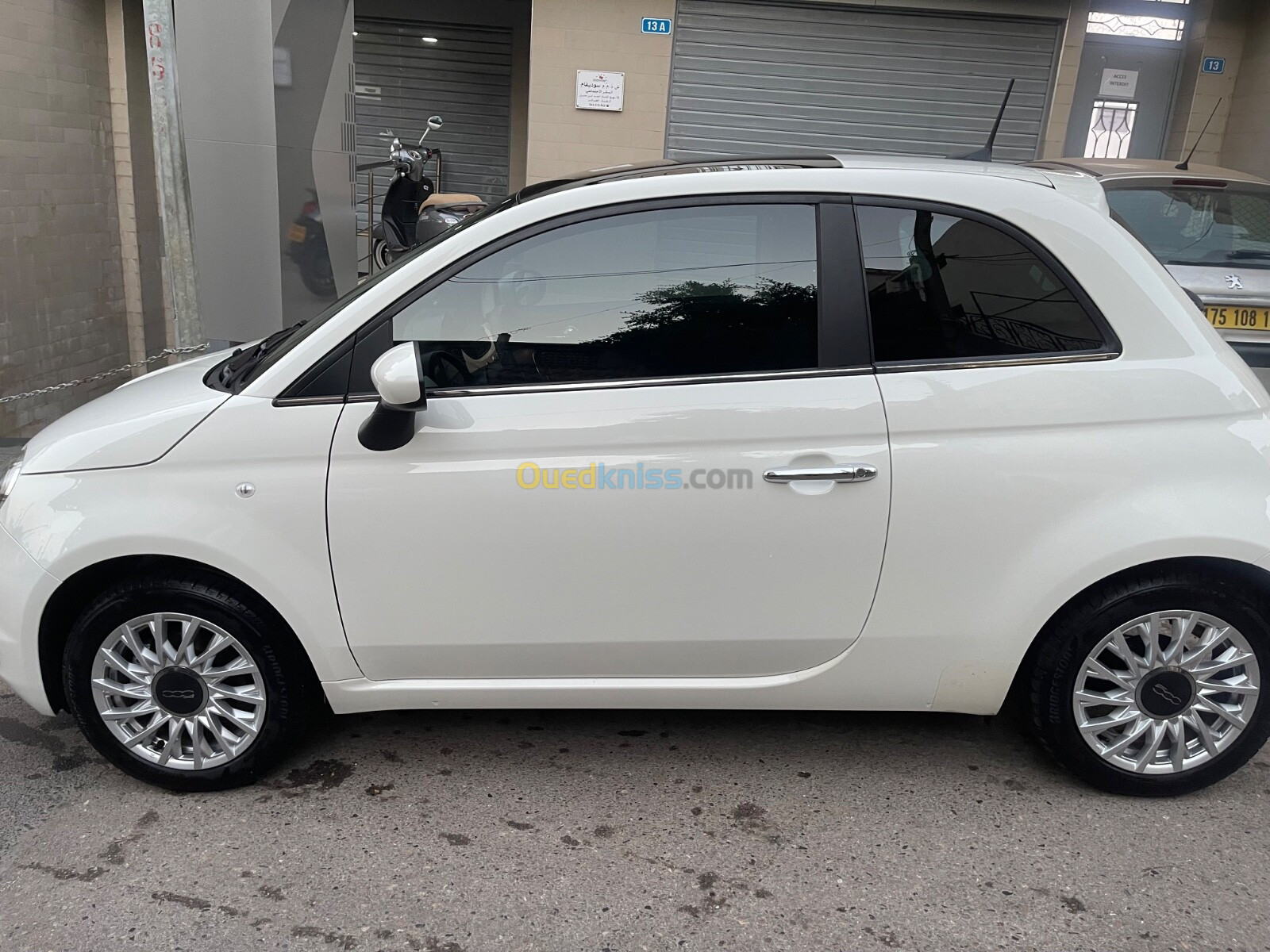 Fiat 500 club 2023 Club