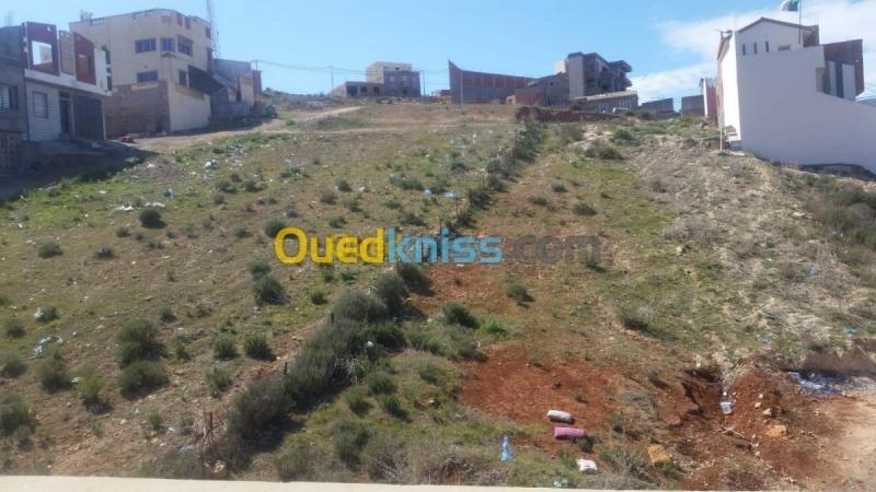 Vente Terrain Tlemcen Marsa ben mhidi