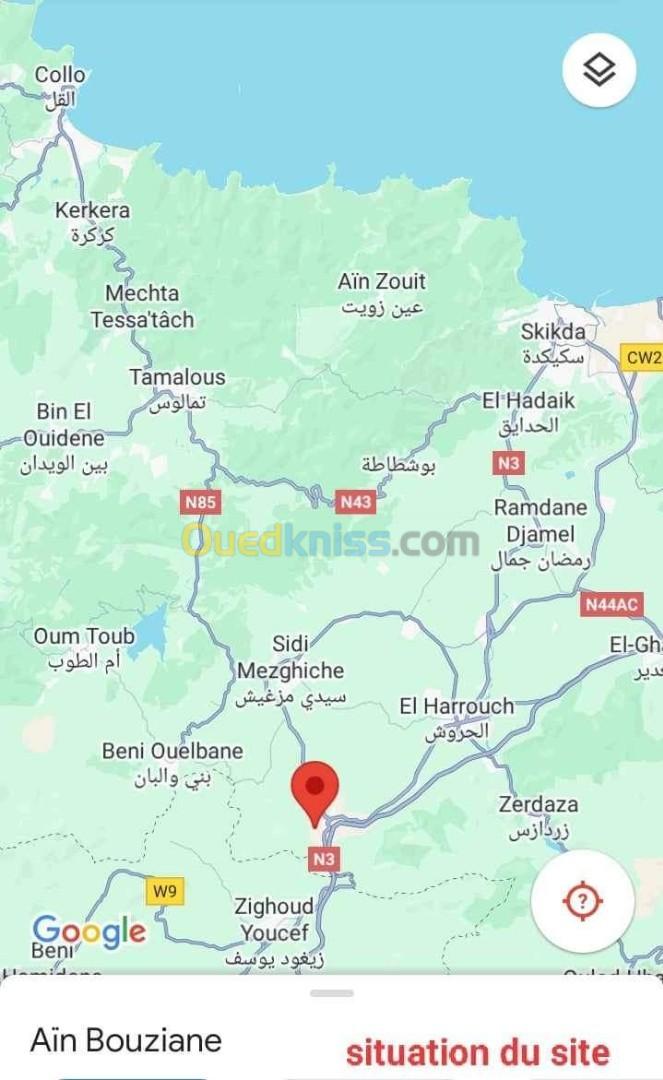 Vente Terrain Skikda Ain bouziane