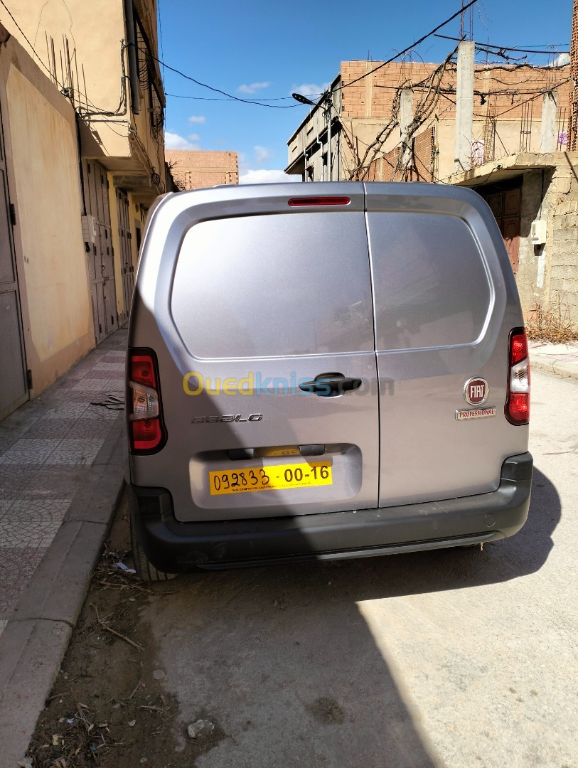 Fiat Professional Doblo 2024 Professional