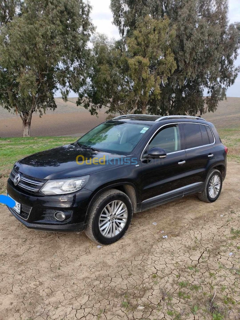 Volkswagen Tiguan 2014 Cup