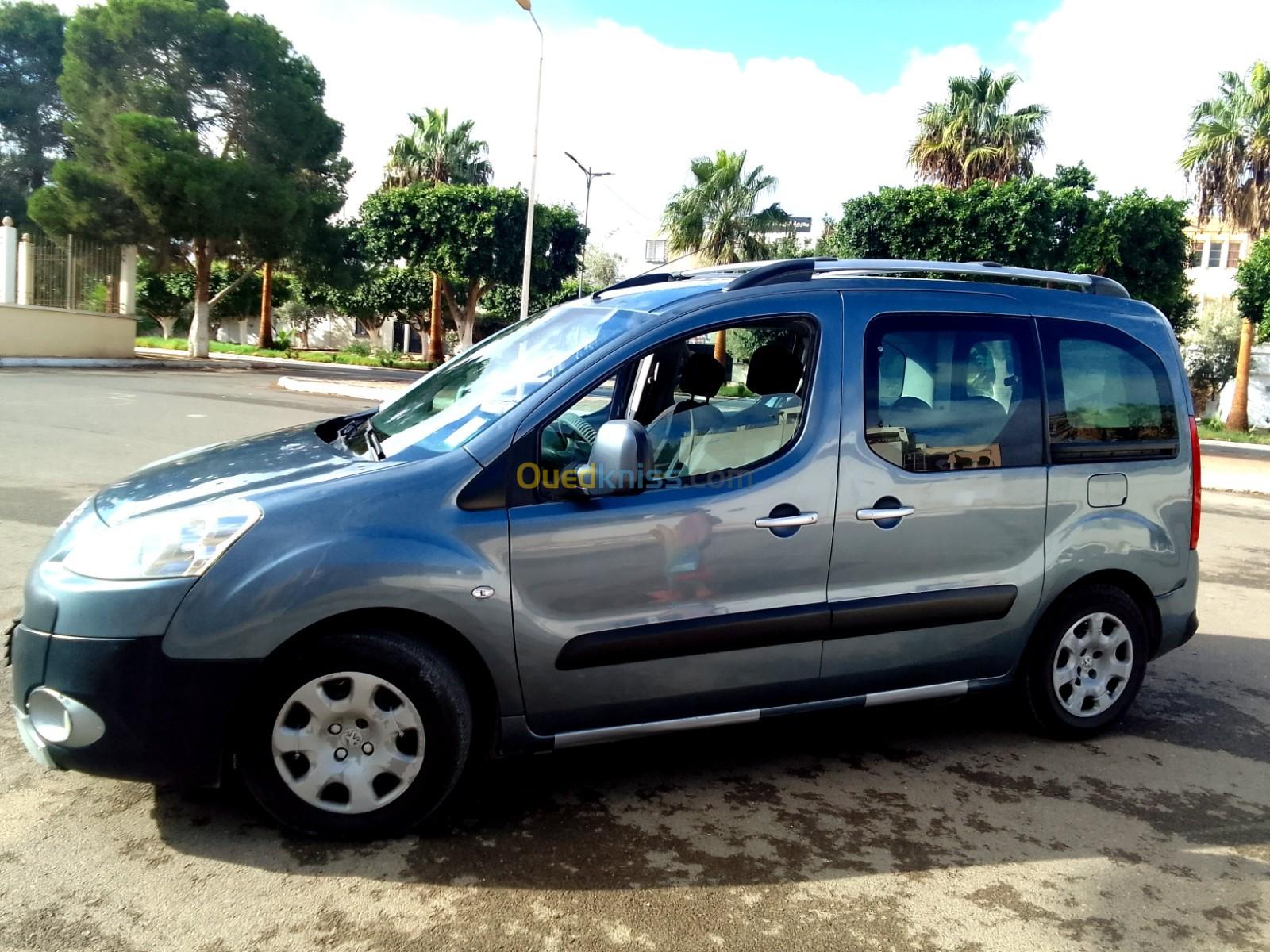 Citroen Berlingo 2009 Berlingo