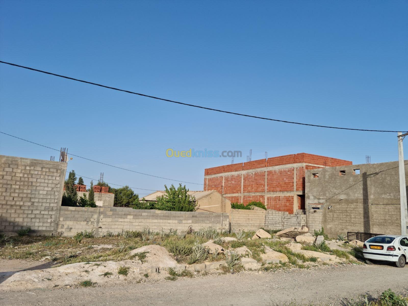 Vente Terrain Sétif Guidjel