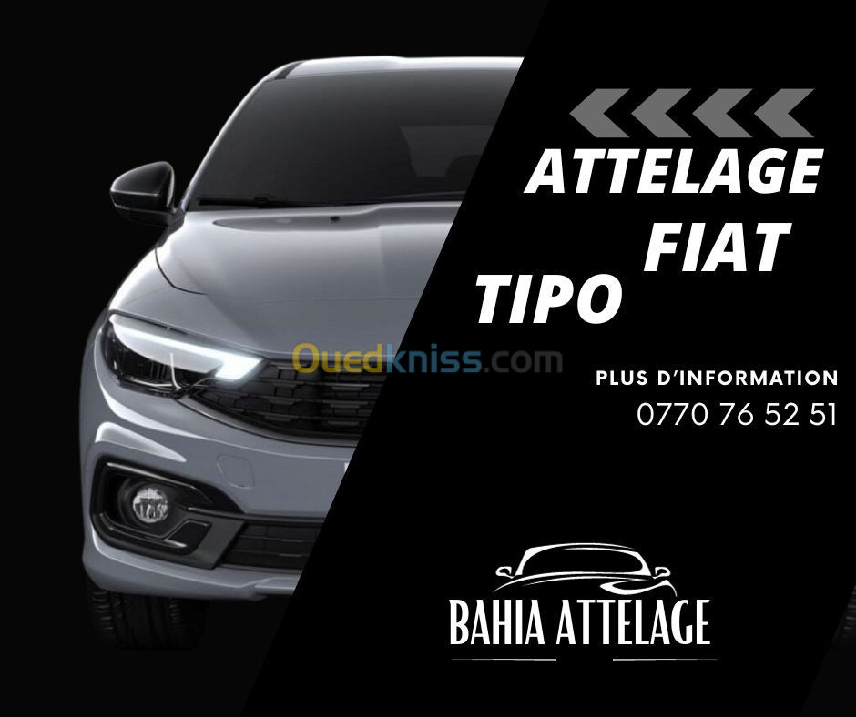 Boule D'attelage FIAT TIPO