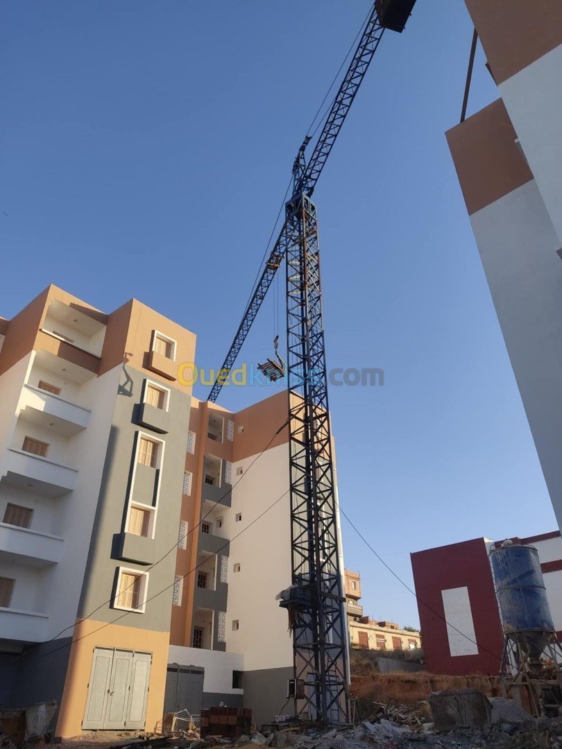 Vente mini centrale à béton et une grue à tour 