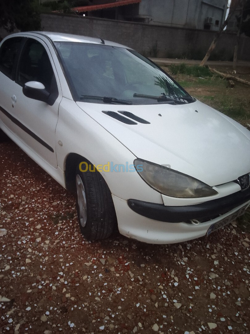 Peugeot 206 2004 206