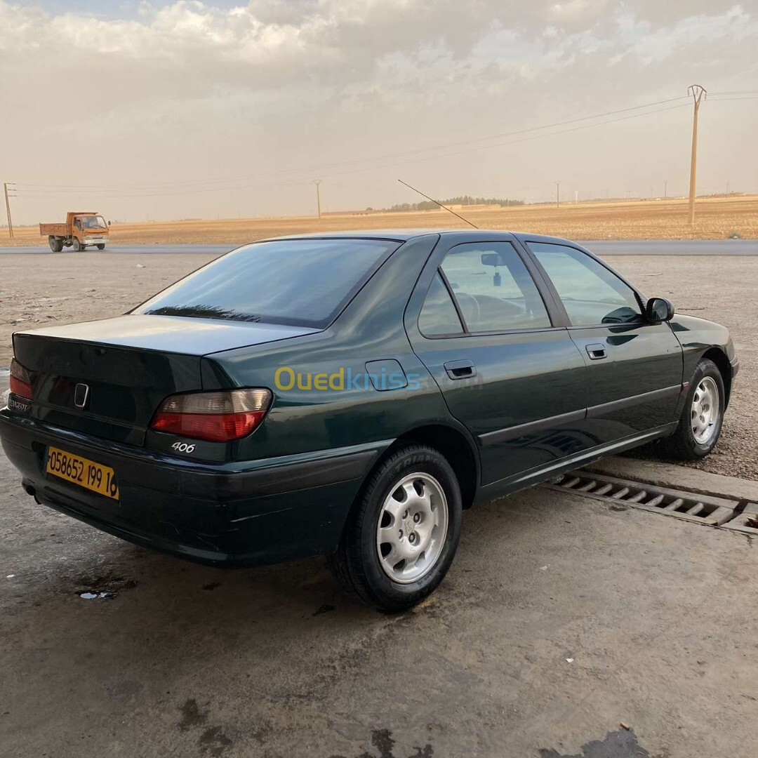 Peugeot 406 1999 406