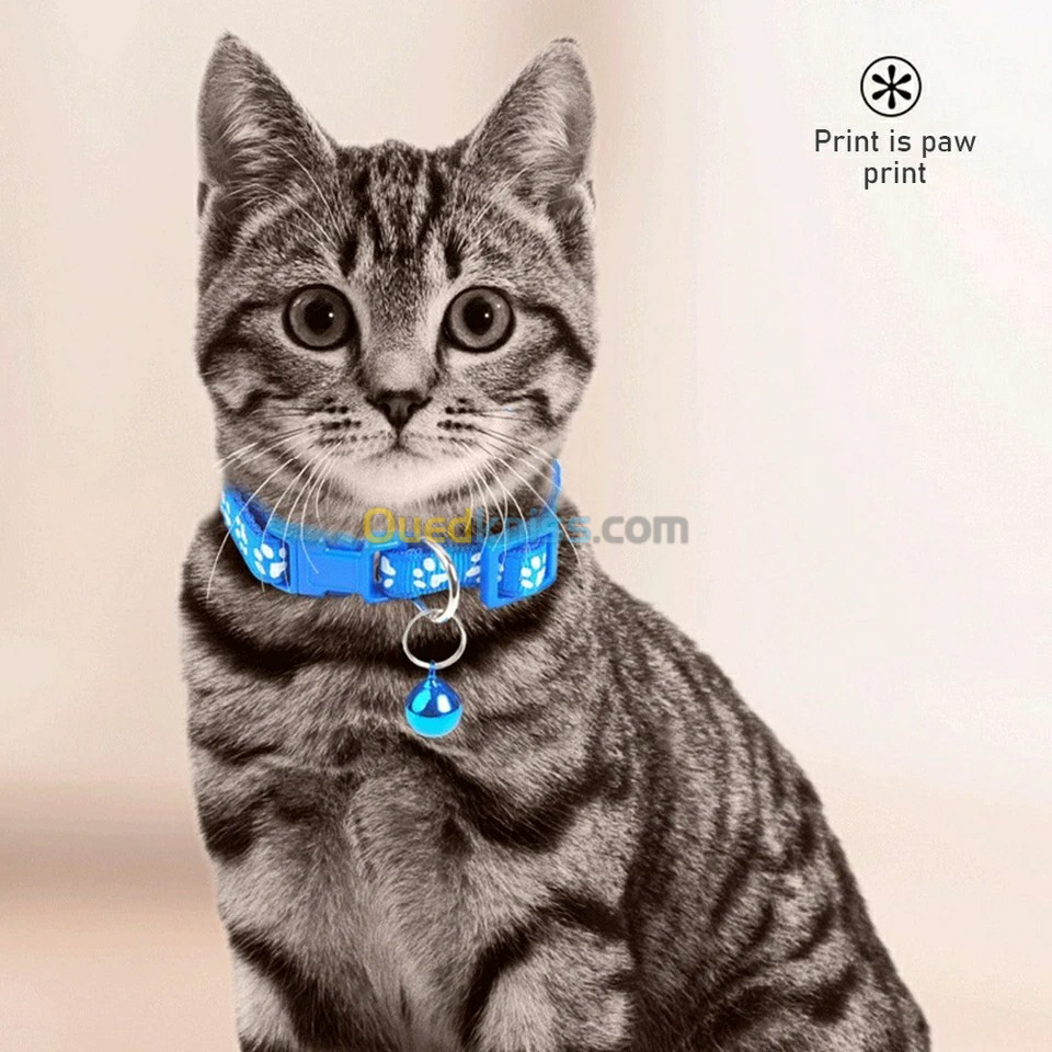 Collier pour chat 