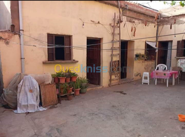 Vente Appartement F3 Oran Bethioua