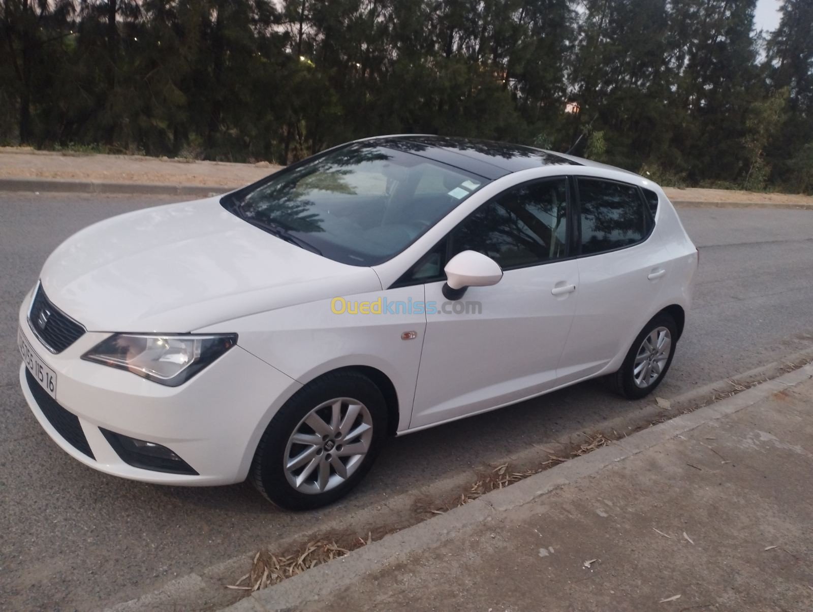 Seat Ibiza 2015 Ibiza