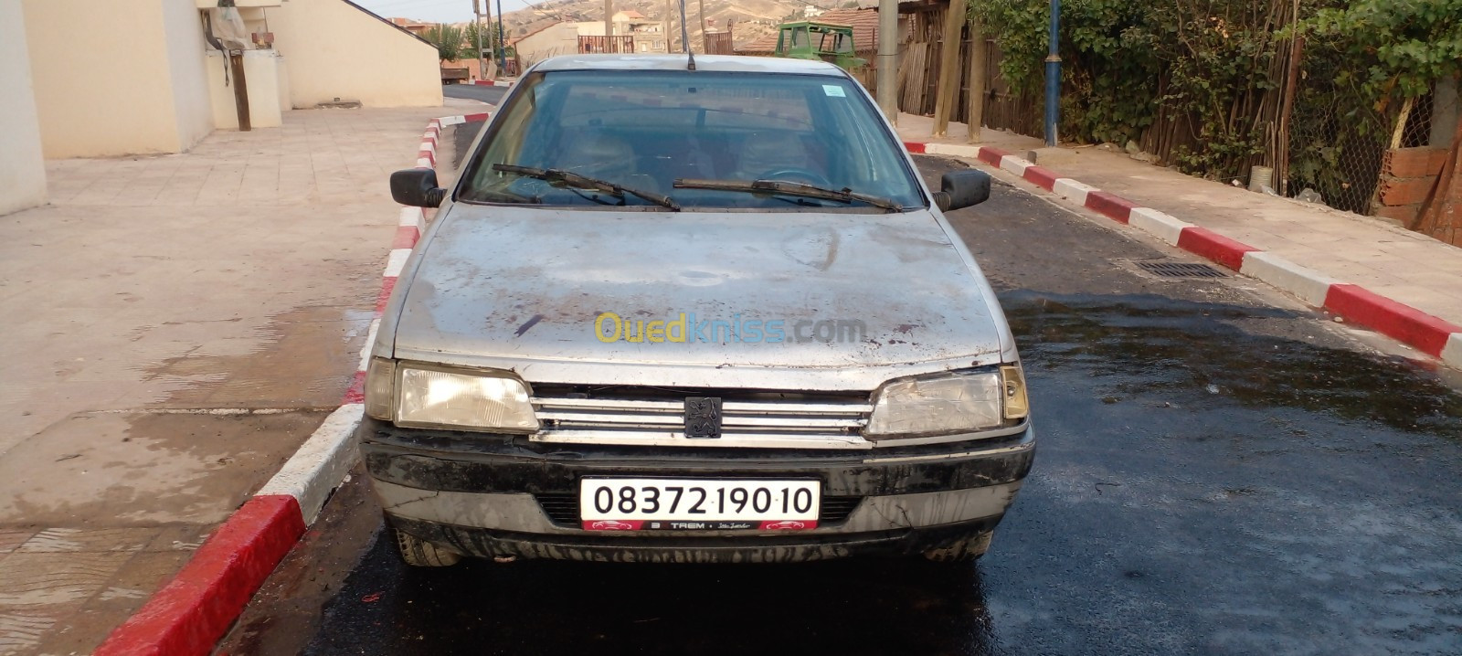 Peugeot 405 1990 405